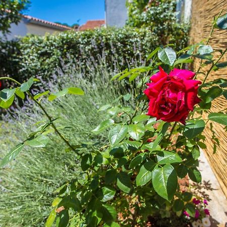 Apartment Rosse Пореч Екстериор снимка